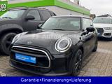 MINI Mini 3-trg. Cooper Essential Trim 1.Hand CarPlay - MINI Cooper in Bochum