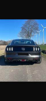 Ford Mustang 5.0 Ti-VCT V8 GT GT - Ford Mustang in Hamm