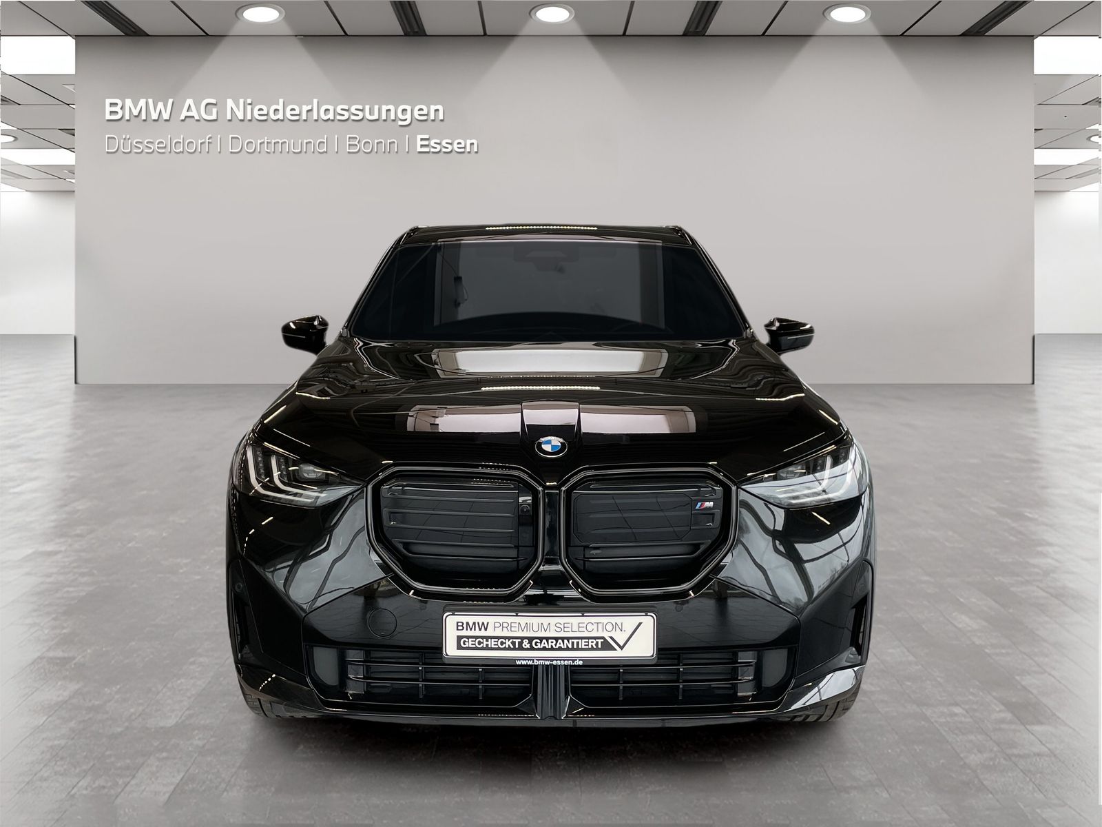 BMW X3 M50 - Bild 8