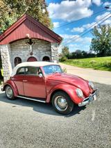 Volkswagen VW Käfer Cabrio 1200 Karmann - VW Gebrauchtwagen von 1965