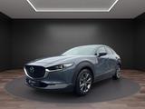 Mazda CX-30 l 360° Kam l Hd-Up l Totw. l Sitzh. l Navi - Mazda CX-30 aus 2019