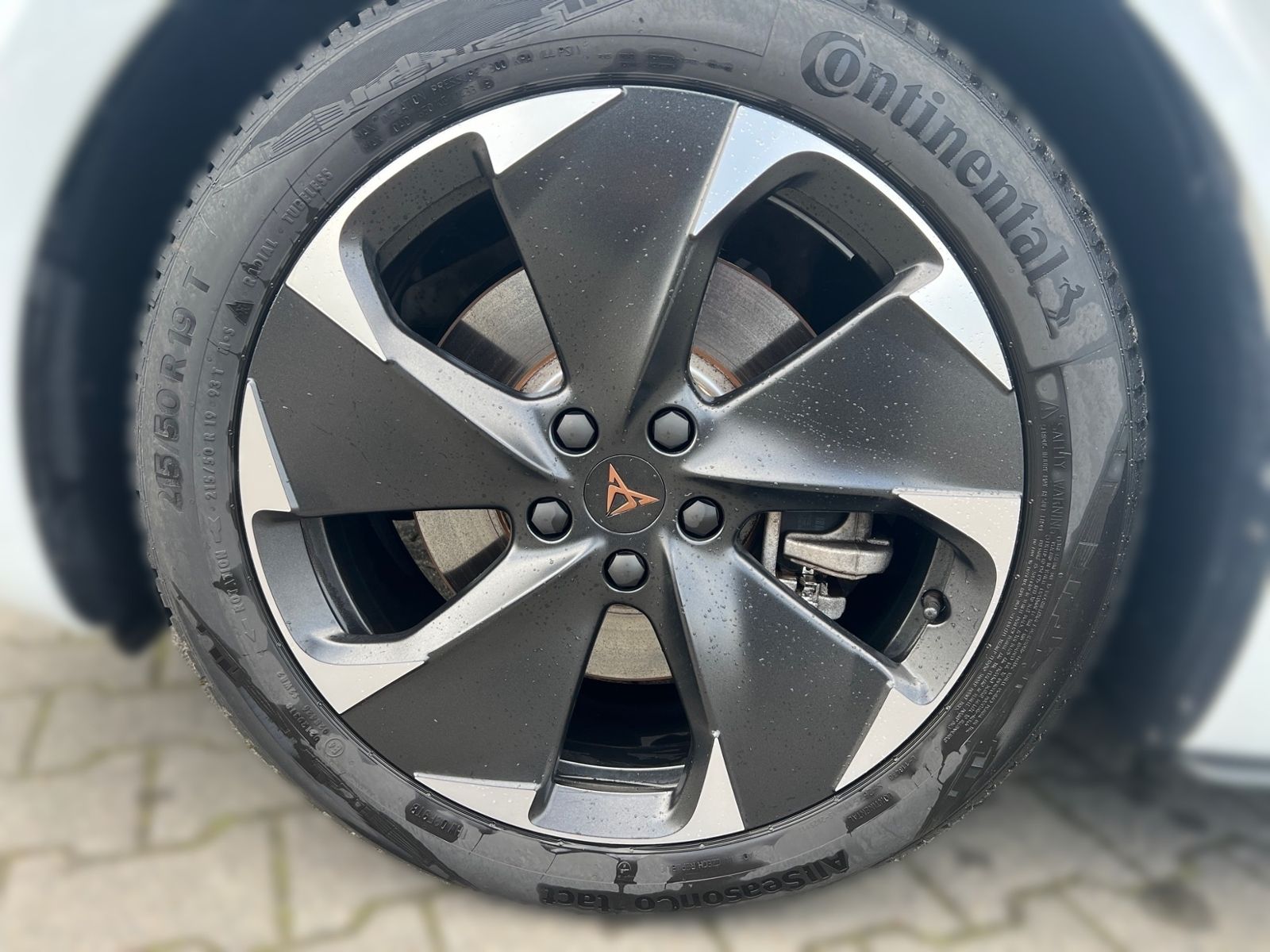 Cupra Born - Bild 8