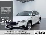 Skoda Octavia Combi Scout 2.0 TDI 4x4 DSG SmartLink - Skoda Octavia Gebrauchtwagen in Bremen