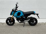 Honda MSX 125 Grom 2025 *Vorführfahrzeug