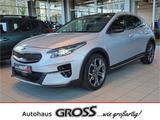 Kia XCeed Platinum Edition El. Panodach Navi Digital - silberne Kia XCeed