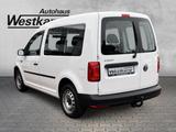 Volkswagen Caddy Kombi 1.4 TSI 6-Gang Anh.Kpl. Ganzj.Reifen - VW Caddy Gebrauchtwagen in Köln
