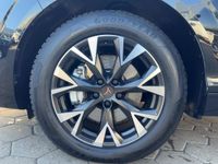 Cupra Terramar - Vorschau Bild 15