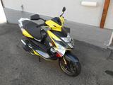 Pegasus BULET RS 25 - Offers matching your search criteria