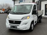 Fiat Ducato DREISEITENKIPPER*4.500KG GESAMTMASSE* - Pkw-Anhänger 500kg