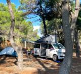 Volkswagen T6 California Beach