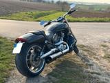 Harley-Davidson V-ROD Muscle VRSCF  - HARLEY-DAVIDSON V ROD MUSCLE