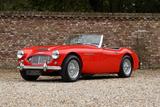 Austin Healey 100-6 "A fast tour-special" "A fast tour-special - Austin Healey Gebrauchtwagen von 1959