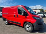 Fiat Ducato Kasten 35 160 L1H1 RS: 3000 mm - Offers