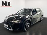 Lexus UX 250h 2.0 Hybrid Style Edition LED KAMERA - Lexus Gebrauchtwagen in Frankfurt