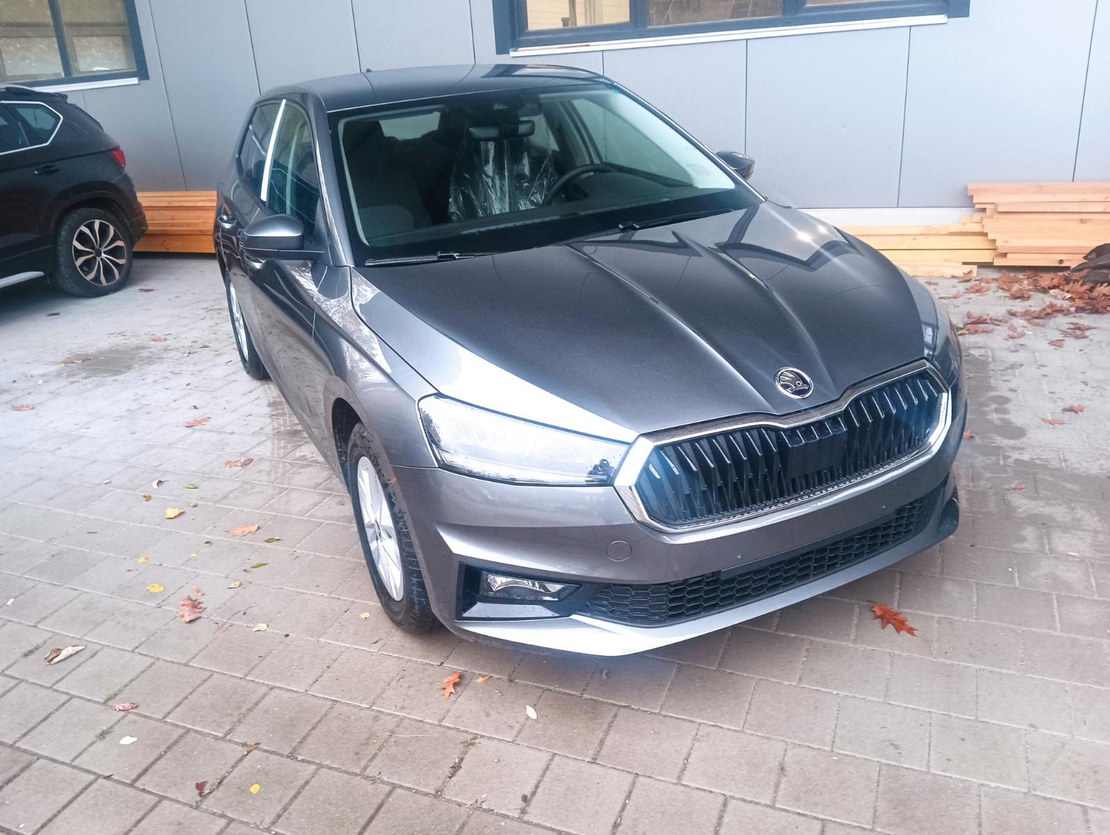 Skoda Fabia Selection 130 5Jahre Garantie, AHK