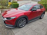 Mazda CX-30 2.0 e-SKYACTIV-X M-Hybrid BOSE Selection - Mazda CX-30: Privatanbieter