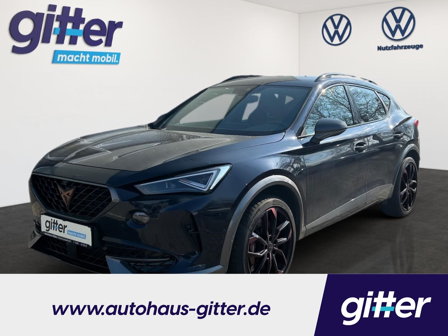 Cupra Formentor VZ 4Drive MATRIX BREMBO AHK 360° LEDER