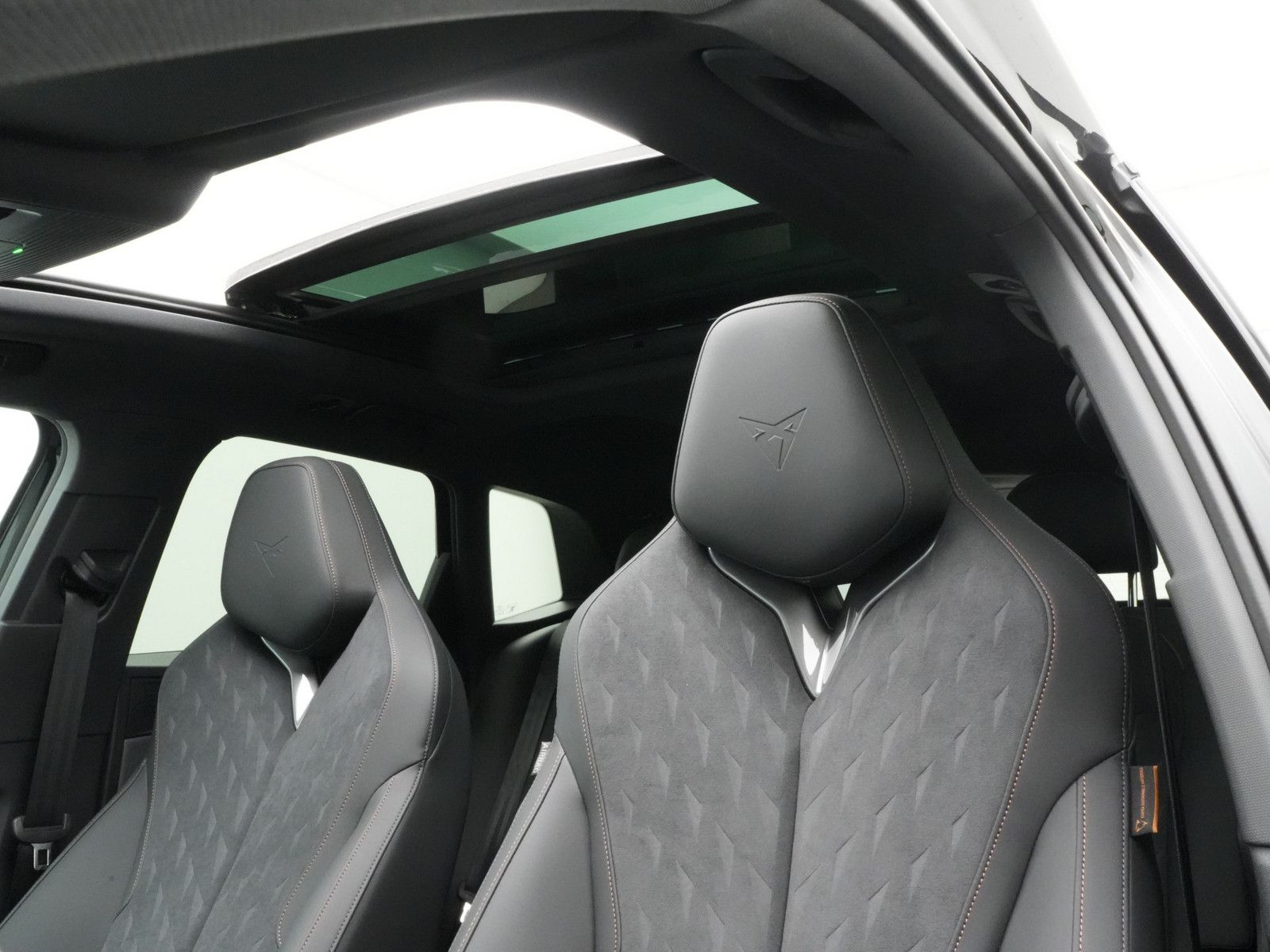 Cupra Terramar - Bild 14