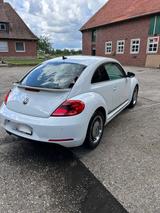 Volkswagen Beetle 1.4 TSI BMT CUP CUP - gebrauchte VW Beetle aus dem Jahr 2015