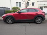 Mazda CX-30 2.0 e-SKYACTIV-G M-Hybrid 150 - Mazda CX-30 Gebrauchtwagen in Frankfurt