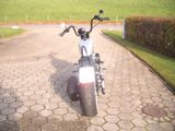 Harley-Davidson Softail Springer - HARLEY-DAVIDSON 1995 SOFTAIL