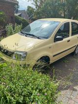 Fiat Panda - Fiat Panda in Kiel