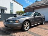 Ford Mustang GT 4,6 L V8 - Ford Mustang bis 10.000 Euro