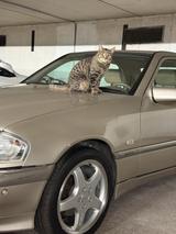 Mercedes-Benz W202 C240 Elegance Mopf Leder - Mercedes-Benz C 240 aus 1997