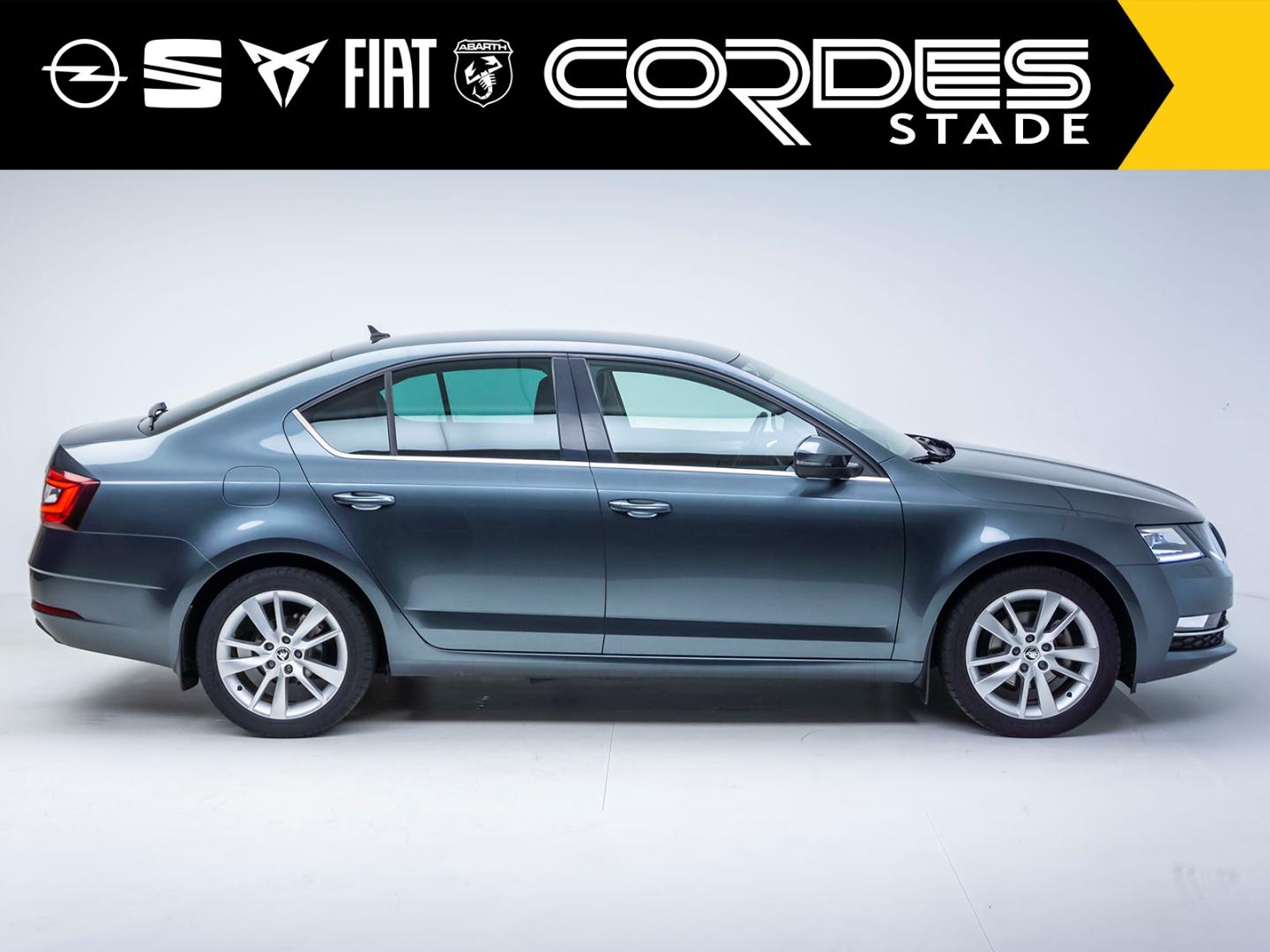 Skoda Octavia Style AUTOMATIK WINTERPAKET NAVI  (GW91)