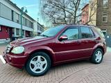 Mercedes-Benz ML 55 AMGIndividualfarbe-To... - Mercedes-Benz ML 55 AMG