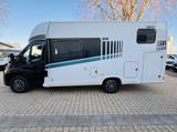 Frankia NOW 7.0 L #Style Ocean - Frankia Neu