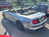 Ford Mustang Shelby Convertible Leder LED CarPlay  - Ford Mustang in Bonn