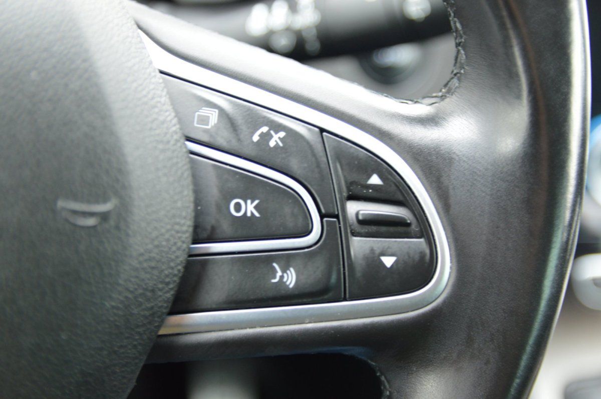 Fahrzeugabbildung Renault Scenic IV   Grand Executive Leder AHK Bose Autom