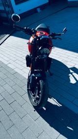 Triumph Trident 660 - TRIUMPH TRIDENT