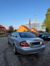 Mercedes-Benz CLK 500 Avantgarde V8 ACC Keyless TÜV/ASU NEU - Mercedes-Benz CLK 500 aus 2004