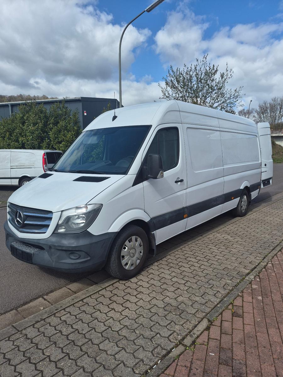 Mercedes-Benz Sprinter Kasten 316 CDI L3 H2 Maxi Kamera H.Tür