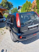 Nissan X-Trail 4x4 elegance 2.2 dCi Elegance - Nissan X-TRAIL Elegance mit Diesel-Antrieb