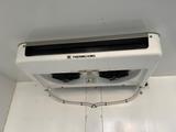 Renault Master DCI Tiefkühlkoffer Thermoking -20C. - Renault Master aus 2010: Van