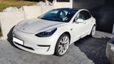 Andere Tesla Model 3 Performance - Andere mit Elektro-Antrieb