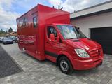 Mercedes-Benz Sprinter Pferdetransporter Steinsberger