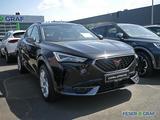 Cupra Formentor 1.5 TSI DSG NAVI/KAMERA/ACC - Cupra Formentor Gebrauchtwagen