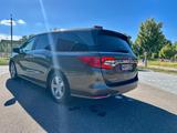 Honda Odyssey Minivan 8 Sitzer  - Honda Odyssey: Van