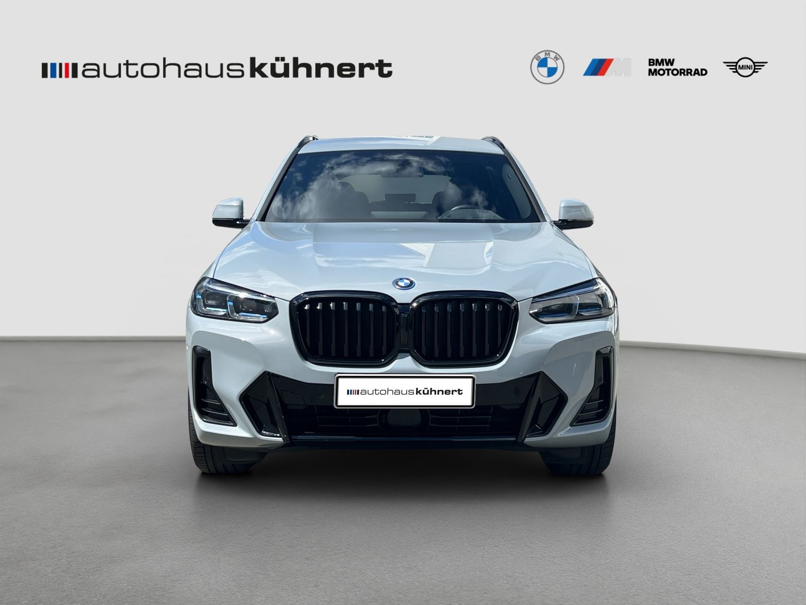 BMW X3 xDrive 30e M-Sport Laser ACC HUD RFK HiFi foto 3