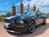 Ford Mustang - Ford Mustang in Oberhausen
