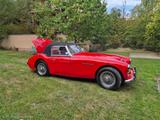 Austin Healey 3000 MK1 2+2 (BT7) - Austin Healey: Mk1