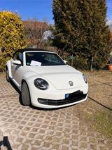Volkswagen   Käfer /Beetle Cabrio,wunderschön,gepflegt - Volkswagen Käfer Gebrauchtwagen
