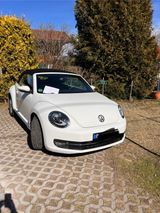 Volkswagen   Käfer Cabrio,wunderschön,gepflegt - Volkswagen: Cabrio, Kaefer
