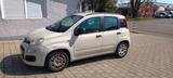 Fiat New Panda 1.2 8V EASY  - Fiat New Panda von privat