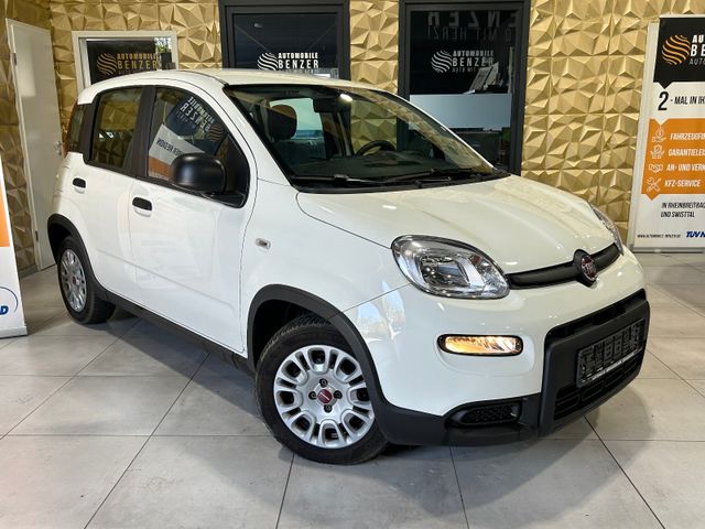 Fiat Panda Base/KLIMA/4-TÜRER/ALLWETER/
