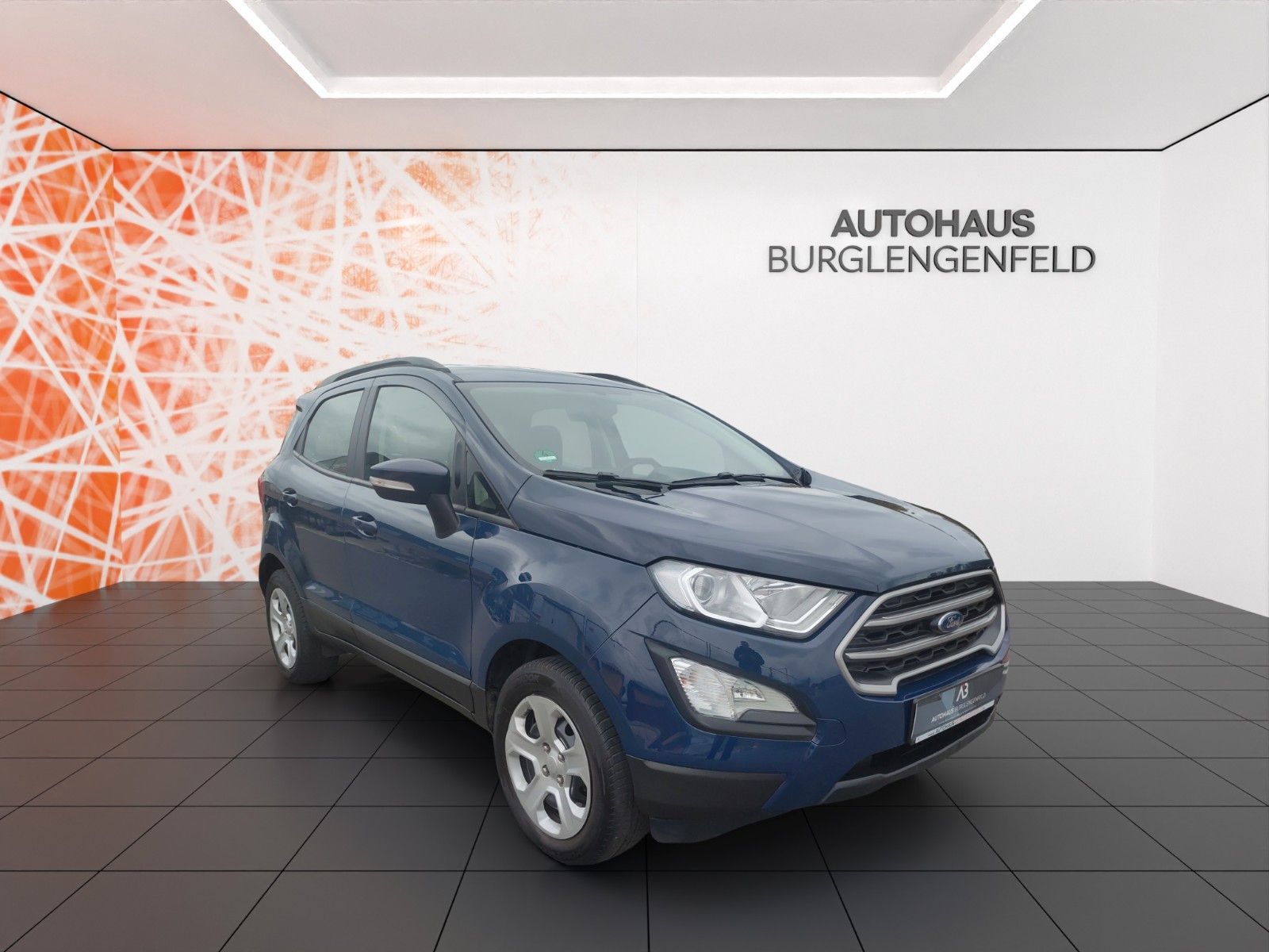 Fahrzeugabbildung Ford EcoSport ! beh. LR ! RFK ! Touch !